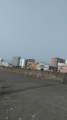 香川県 デリヘル デリヘル素人美人人妻専門店Ⅰ ブルーローズ