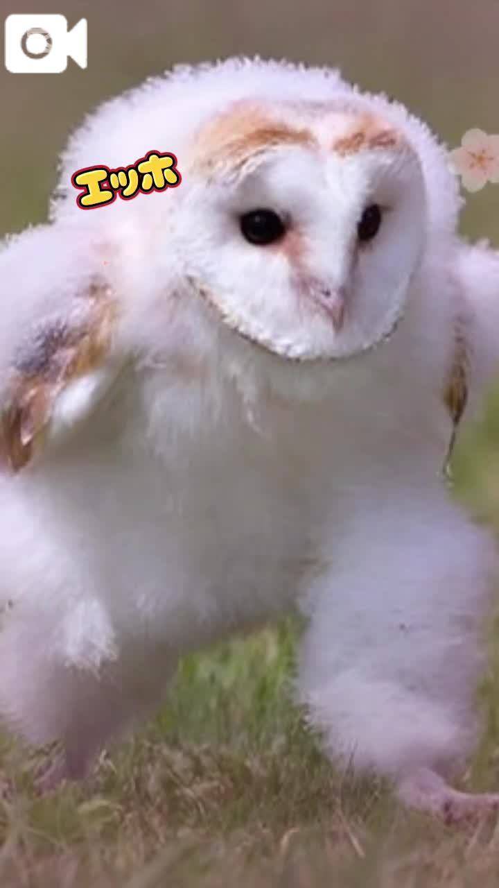 6月𝕤𝕥𝕒𝕣𝕥🤍