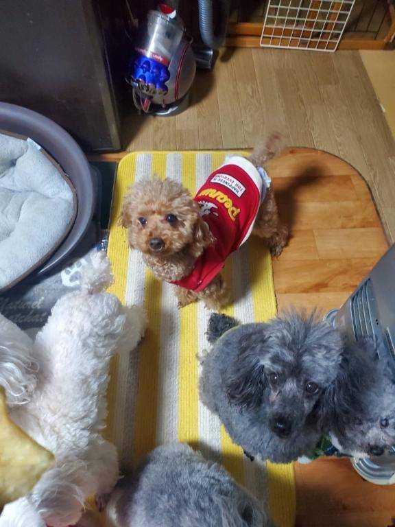 今日はなんの日