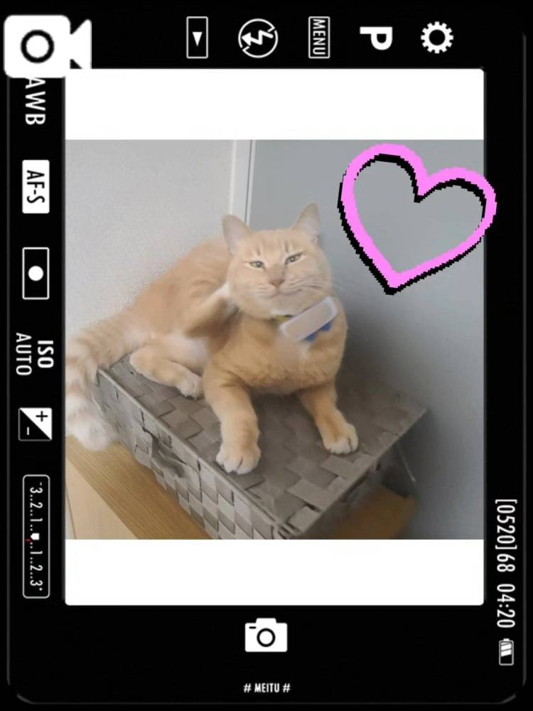 今日から😆✊🏻‎