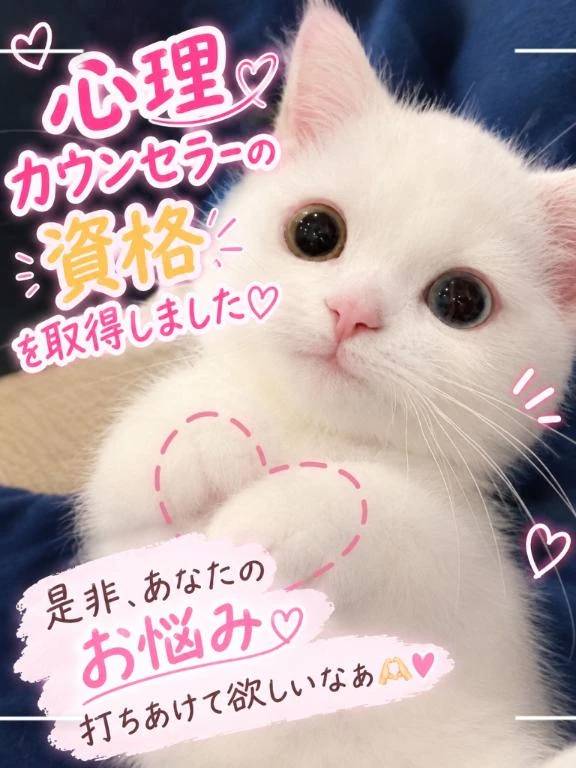 お力に慣れたらいいなぁ(*ˊᵕˋ*)💗