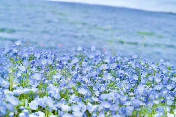 今日はありがとうございましたっ
