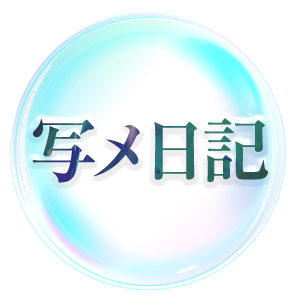 写メ日記