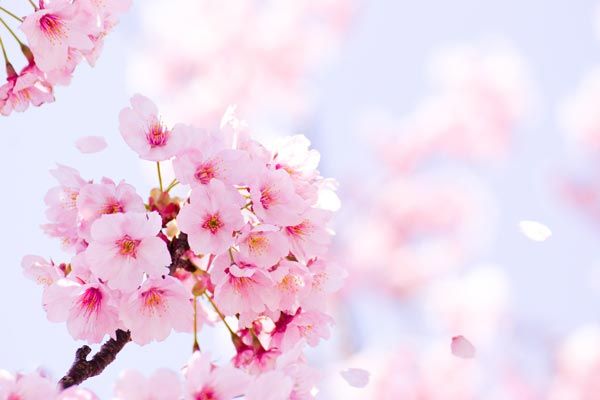 ３ヶ月を振り返って！