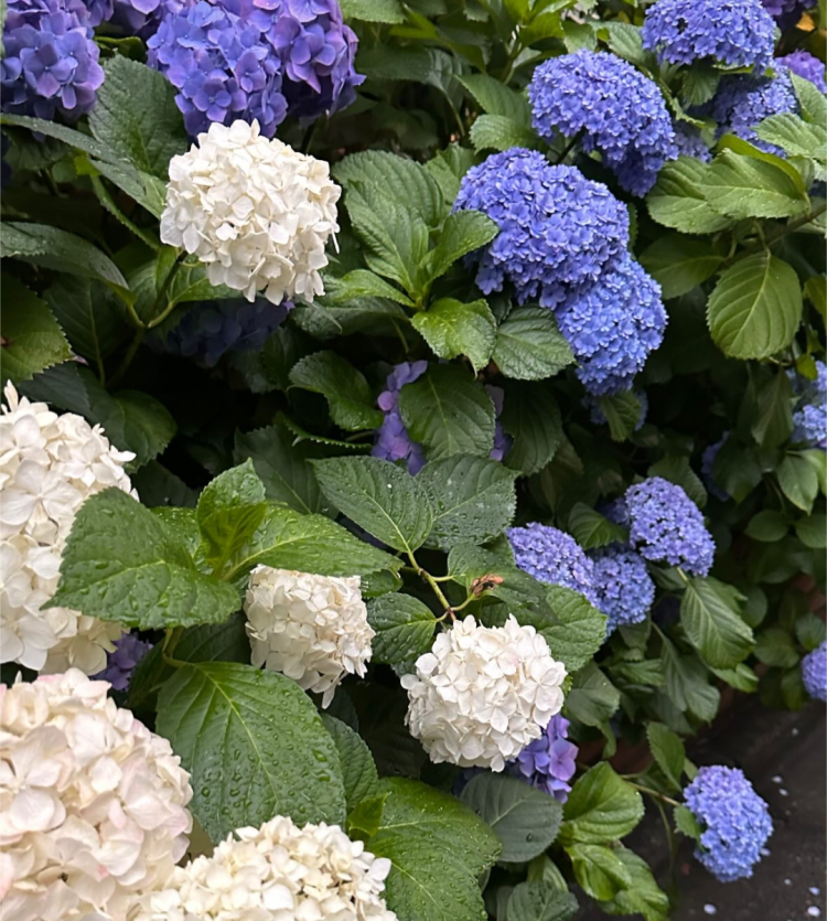 初めての日記💗