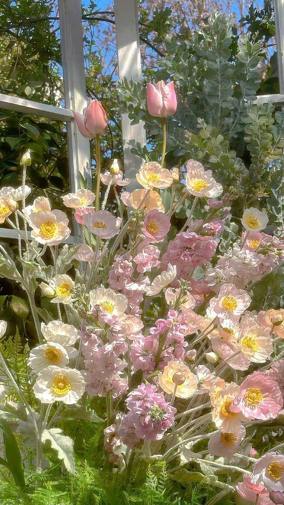 お久しぶりです??♀?