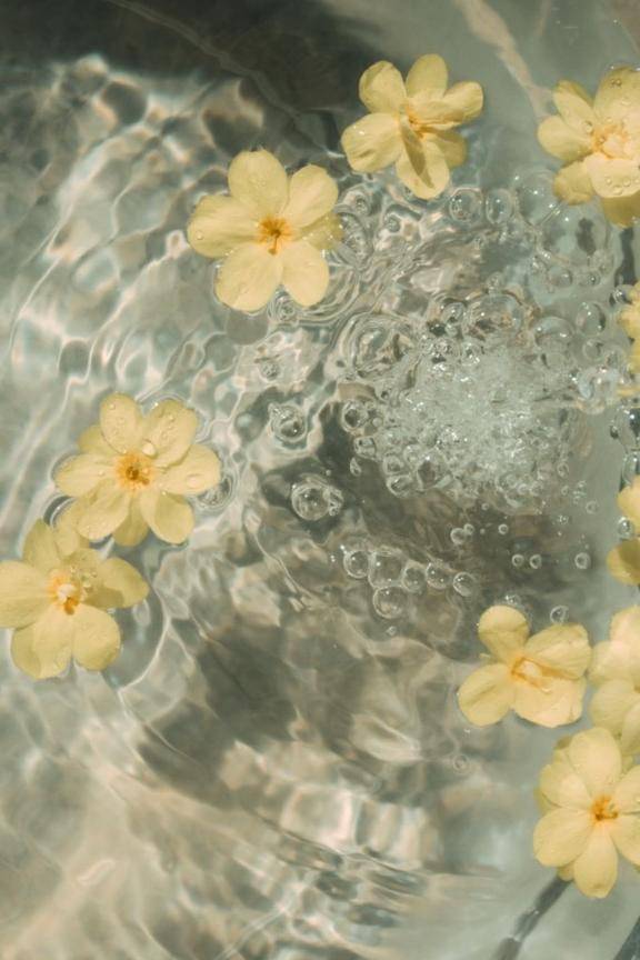 あめ（経験極少☆体験姫）