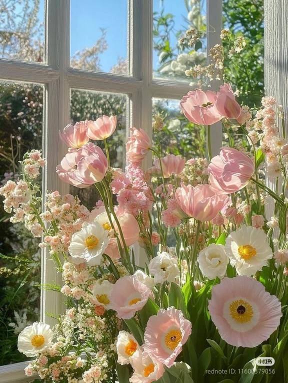 あめ（経験極少☆体験姫）