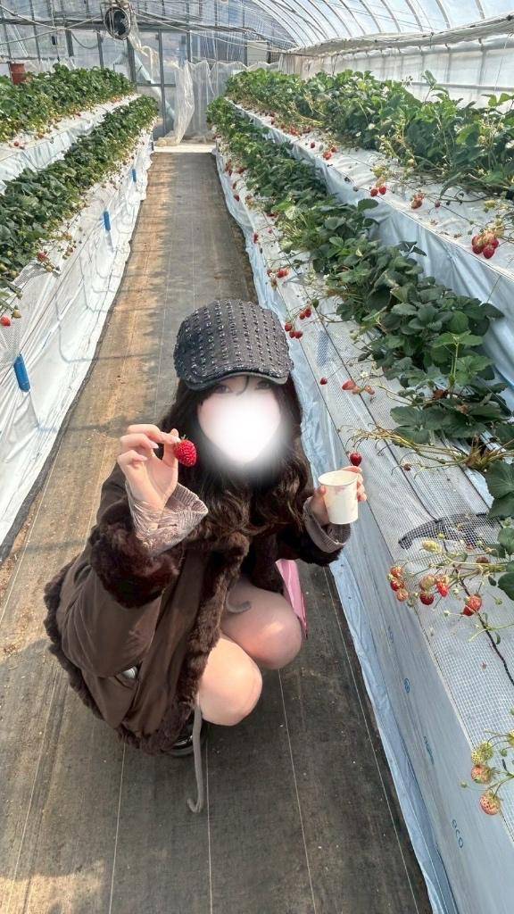 ういか（体験姫）