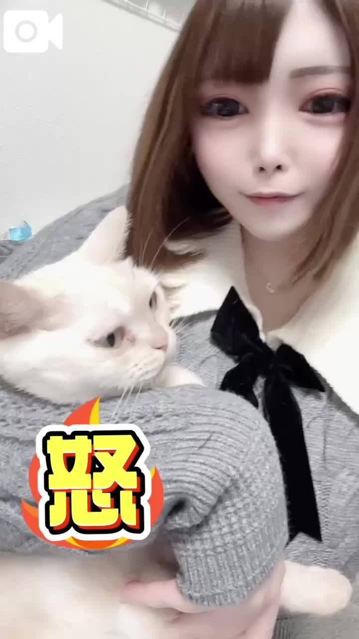 お題❤️一目惚れしたことはある？ない？