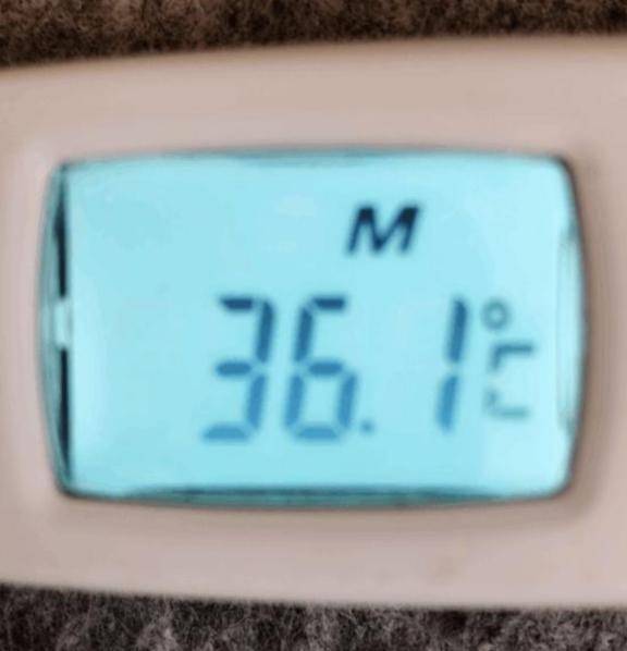 こんにちは！