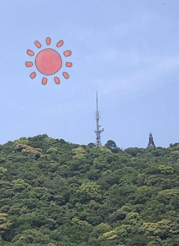 こんにちは！