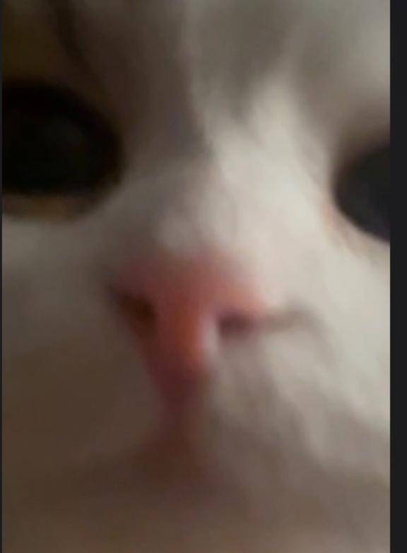 まう