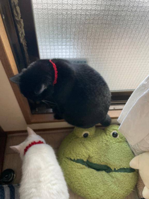 こんにちは