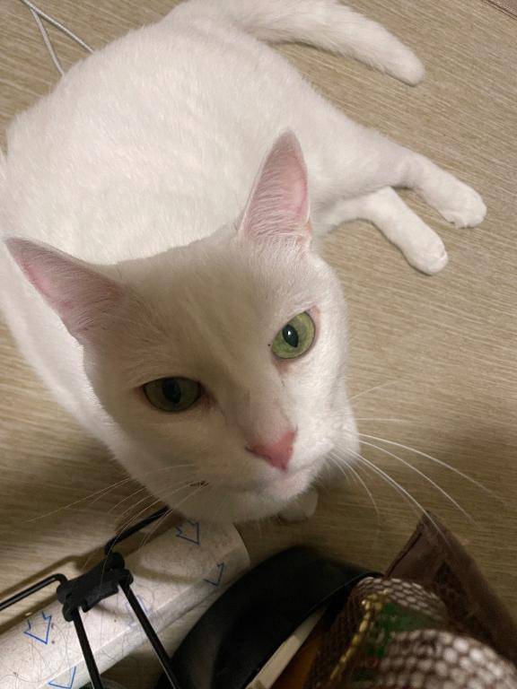 こんにちは