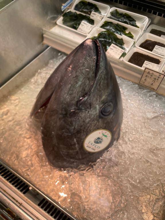 こんにちは