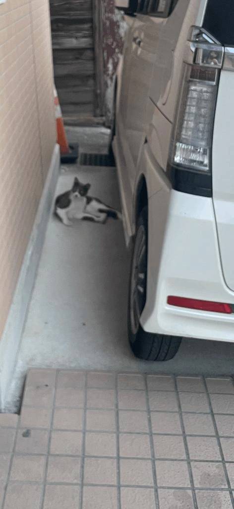 こんにちは