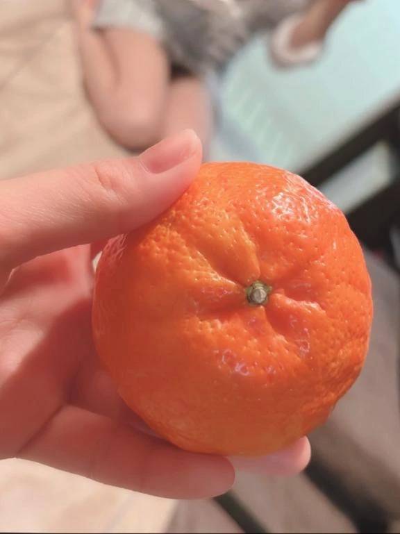 対策🍊