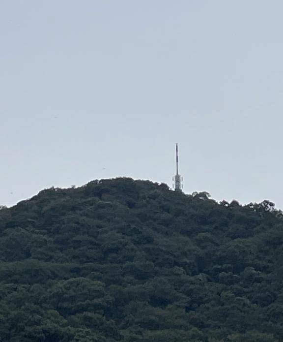 りん