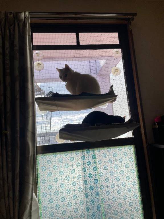 こんばんは
