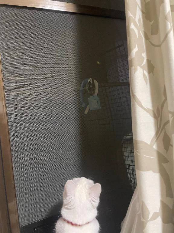 こんにちは