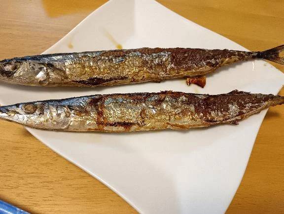 秋刀魚さん🐟