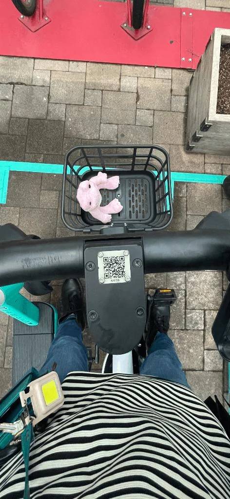 かれん