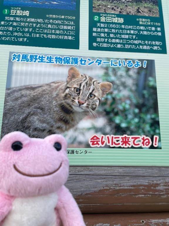 かれん