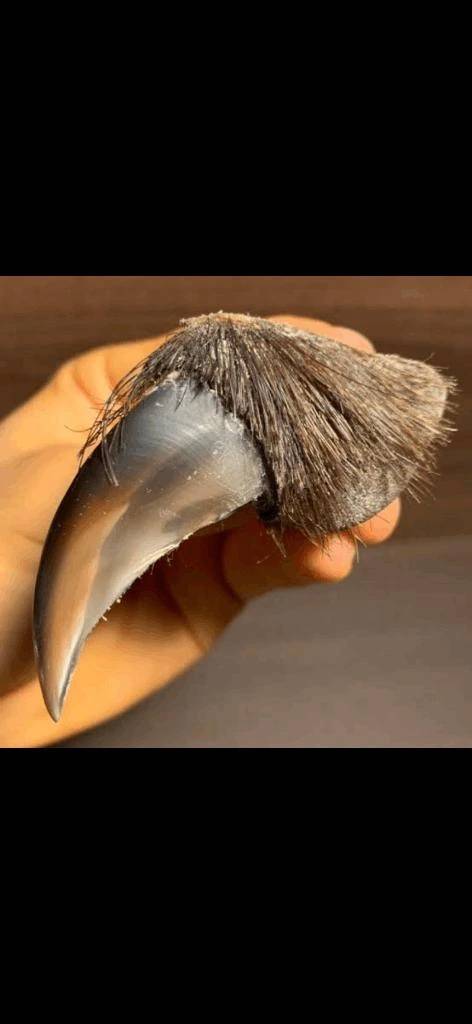 おはよー(*^ω^)ノ