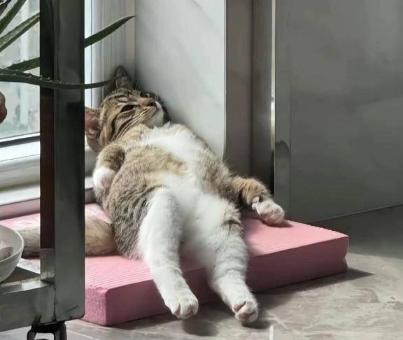 戸田【エステ限定】