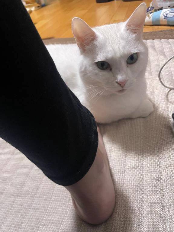 おはー🔆(((o(*ﾟ▽ﾟ*)o)))🔆