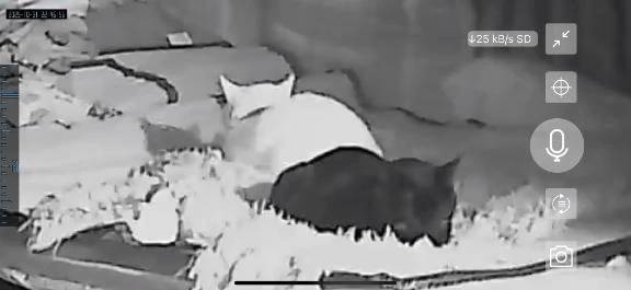 おはよー(*^ω^)ノ