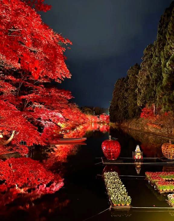 後悔したくない！！！