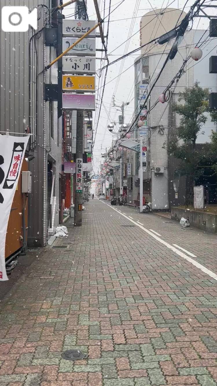 今朝は雪すごかったね❄️