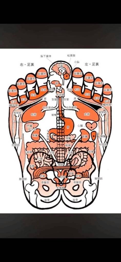 徳島県 ヘルス ファッションヘルス　カリスマ かれん