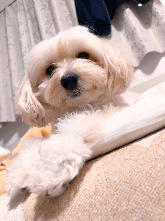 雪野【エステ限定】