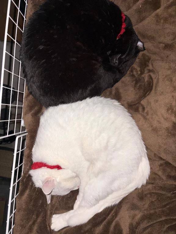 おはよー(*^ω^)ノ