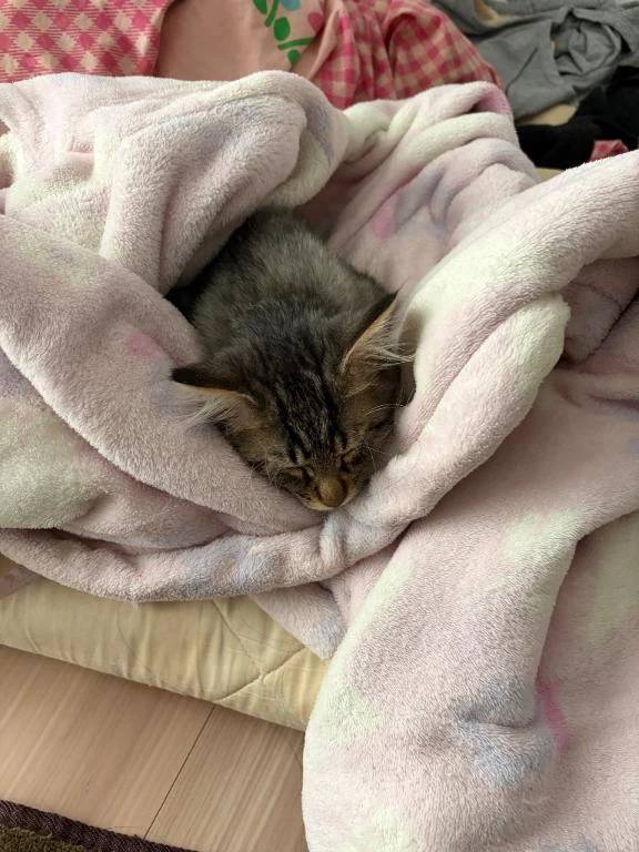 明後日から出勤します✨