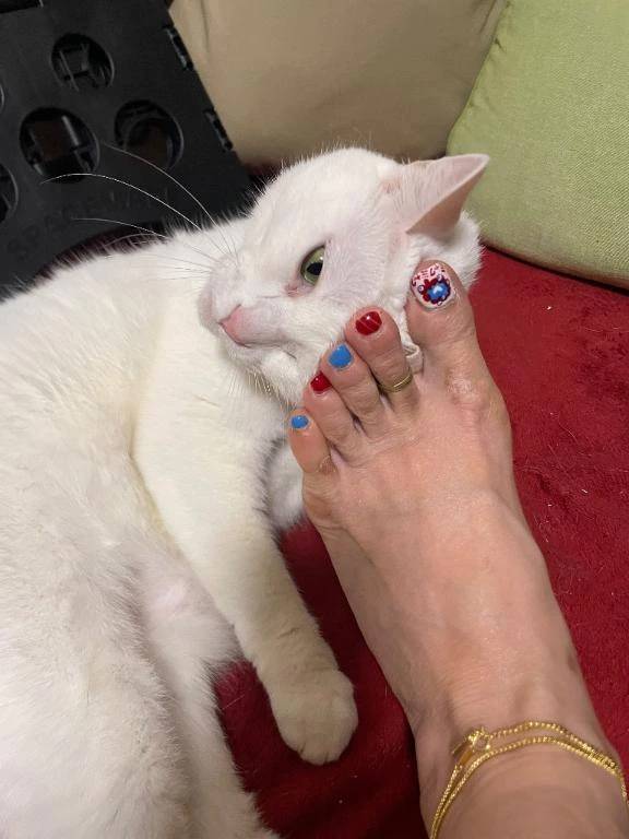 こんにちは