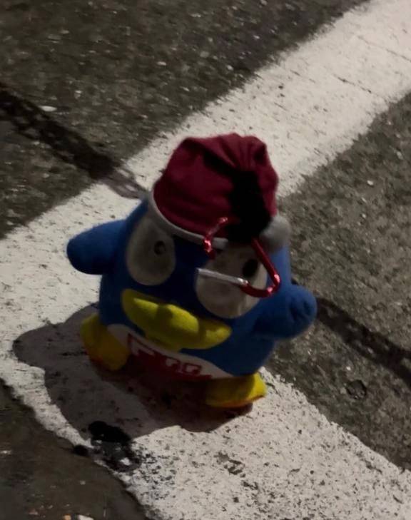 なんで撮ったんだろうっていう写真を見せてください！