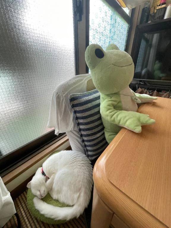 こんにちは