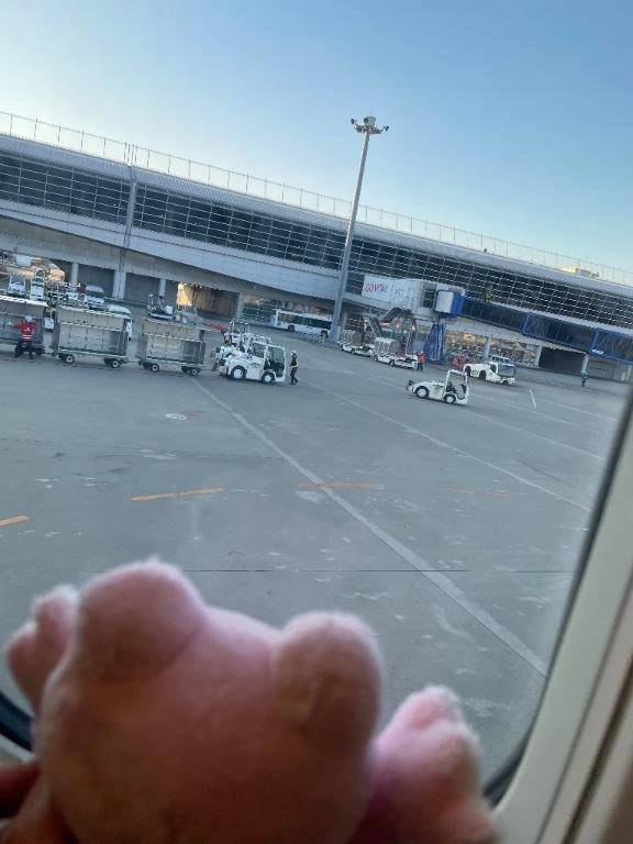 こんにちは