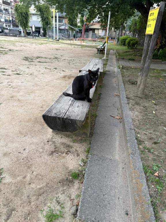 かれん