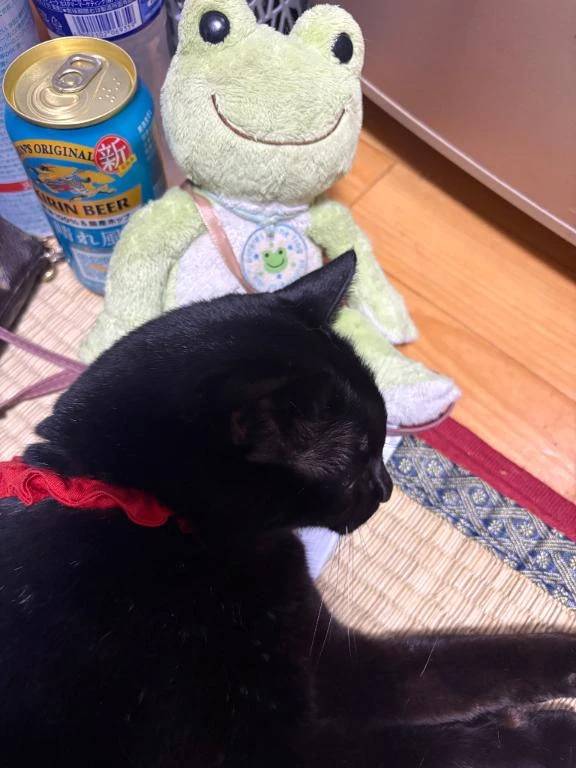 (˙◁˙)ノぐんもーに☀️