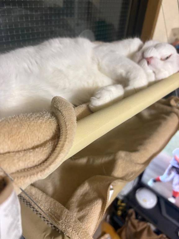おはー🔆(((o(*ﾟ▽ﾟ*)o)))🔆