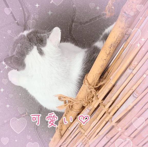 ２日目！！