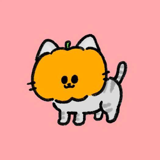 スケジュールだしました(´˘`＊)