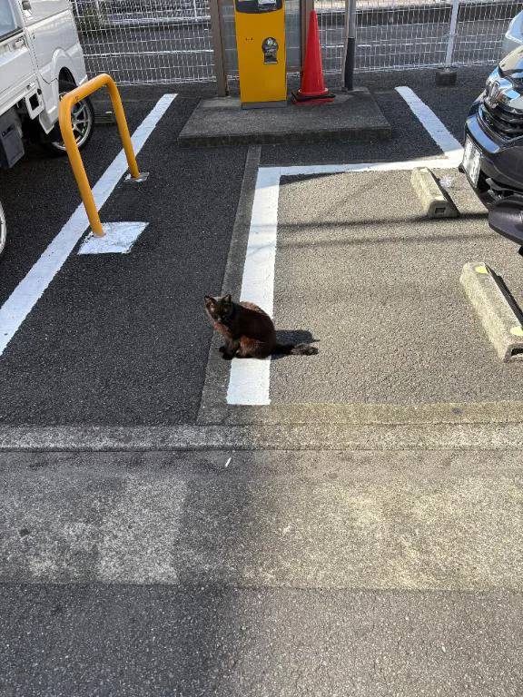 おはよぉ(*´ω｀*)ﾉ))