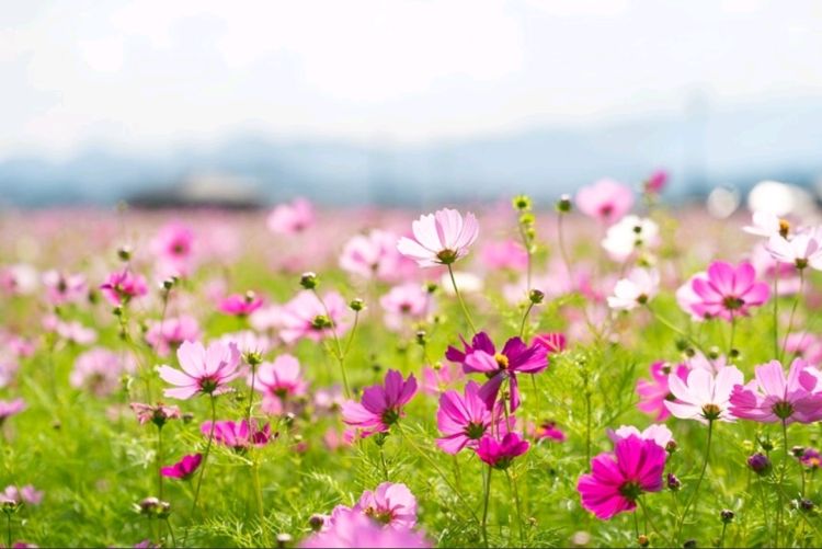 くぅーちゃん推しの皆様へ❤