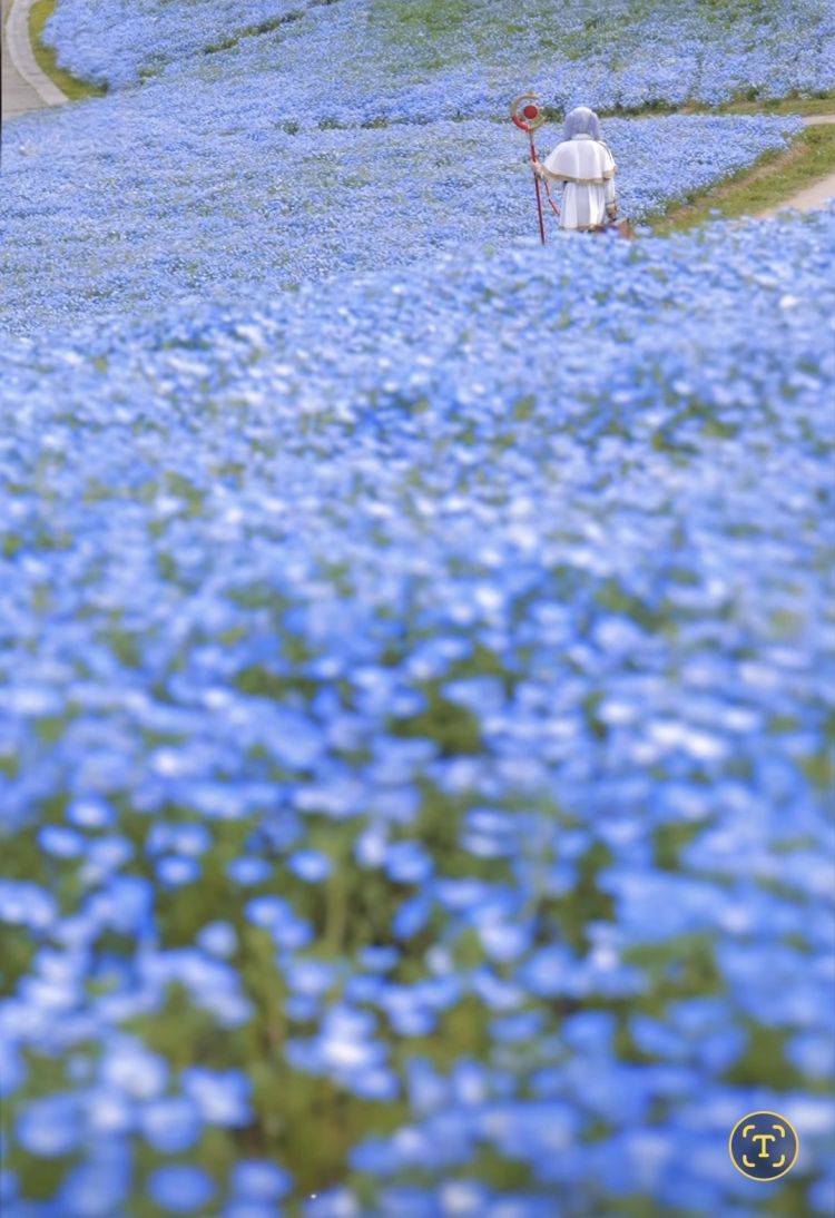 お久しぶりです(*^^*)